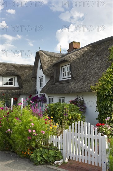 Thatched house with a cottage garden