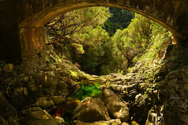 An almost dried out stream runs underneath a bridge and disappears in the forest-clad valley below