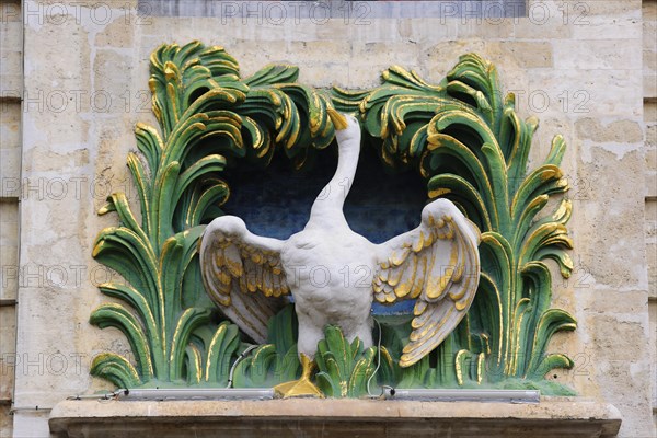Goose on the Maison du Cygne
