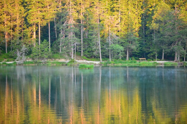Conifer forest reflected in lake Moserer See in the morning light