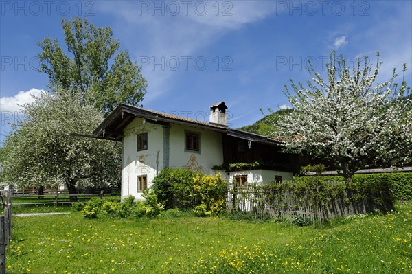 House with mural paintings