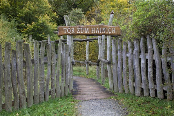 Tor zum Hainich'
