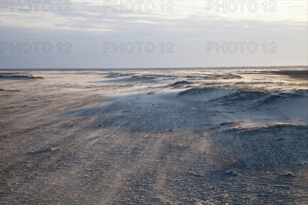 Sand dunes on Nordstrand beach