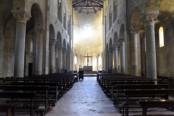 Nave