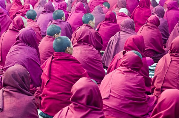 Many nuns wearing red cloths listening the teachings of Taklung Tsetru Rinpoche in the backyard of Junbesi Gompa