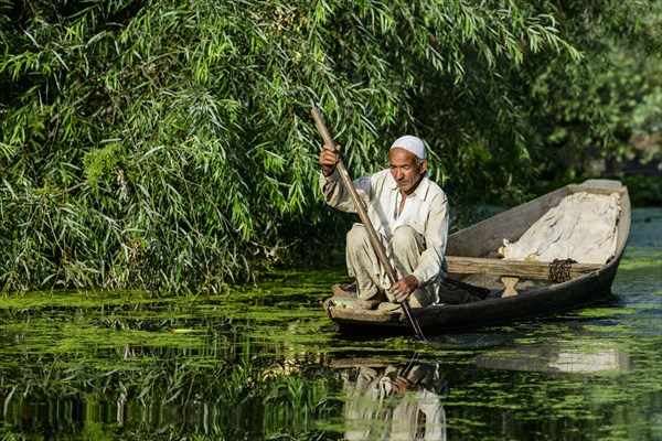 A man paddeling in a shikara boat on a canal near Dal Lake
