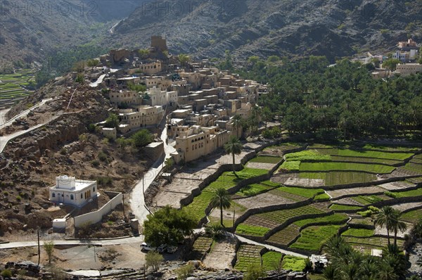 Mountain oasis of Balad Seet with irrigated terraced fields