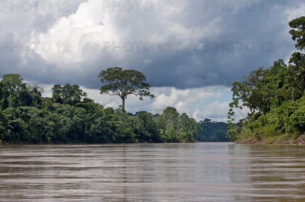 Landscape at the Tambopata River