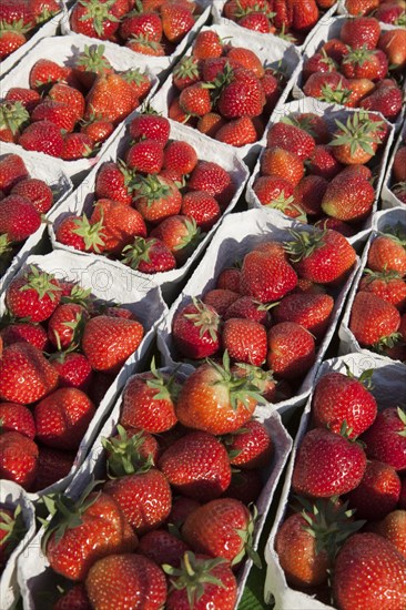 Strawberries at a market stall