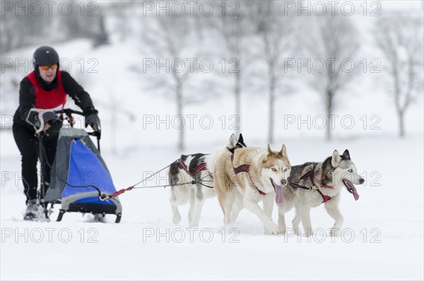 Musher running