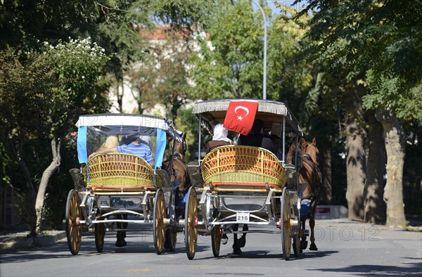 Horse-drawn carriages
