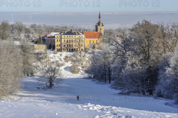 Sunny winter day in the landscaped gardens of Ettersburg Castle