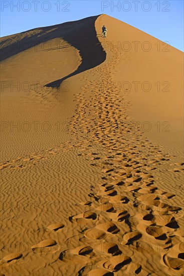 Tourists climbing Dune 45 in the evening light