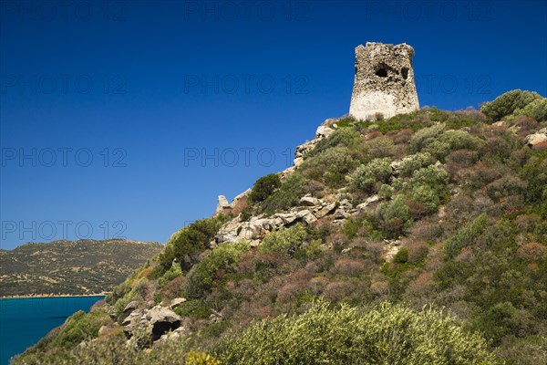 Saracen Tower on the coast