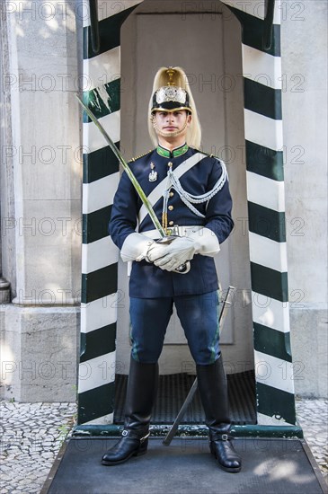 Guardsman