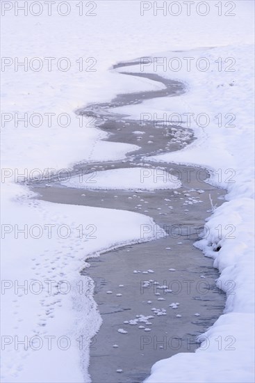 Snow and ice in a drained carp pond