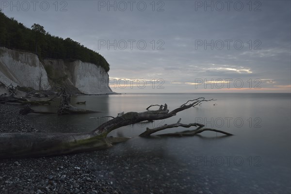 Steep coast with chalk cliffs at sunrise