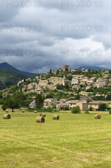 Village in a rural landscape