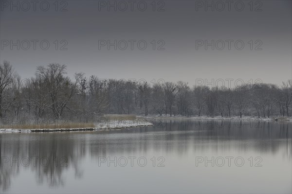 Winter landscape on the Danube