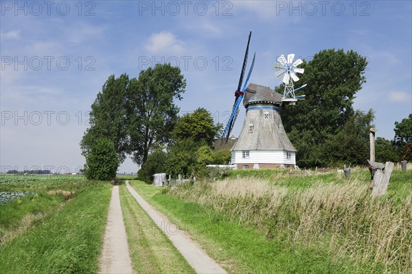 Immanuel Windmill