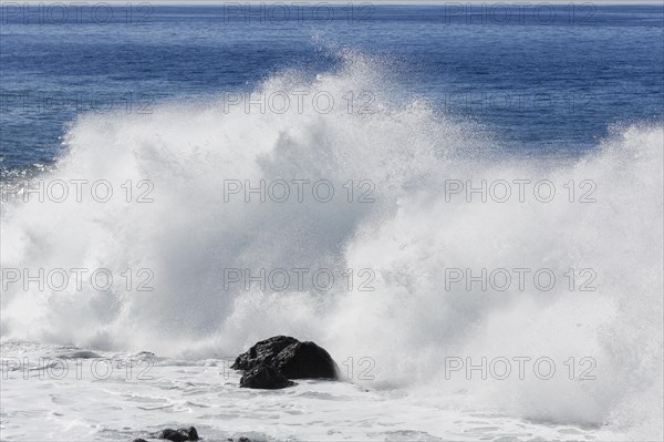 Surf
