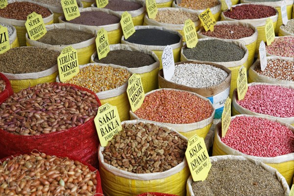 Various beans and corn in bags