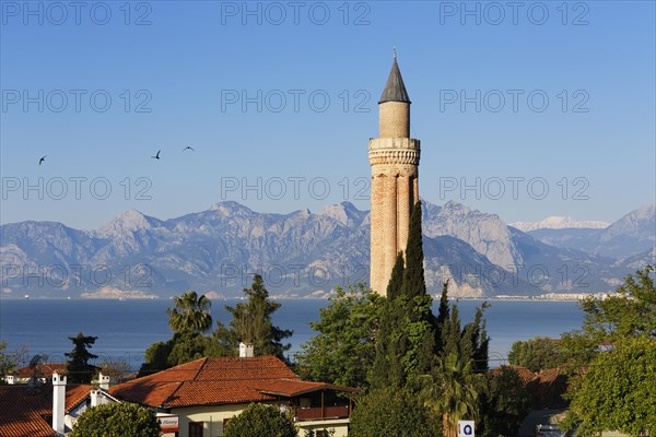 Fluted Minaret