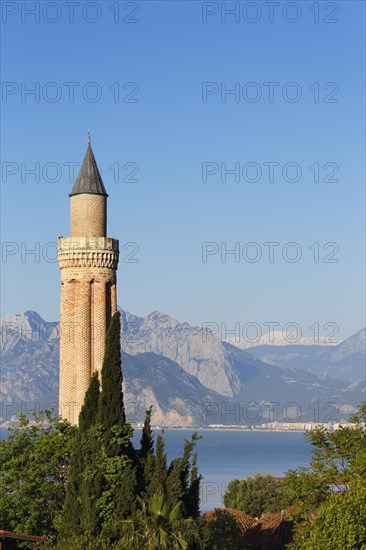 Fluted Minaret