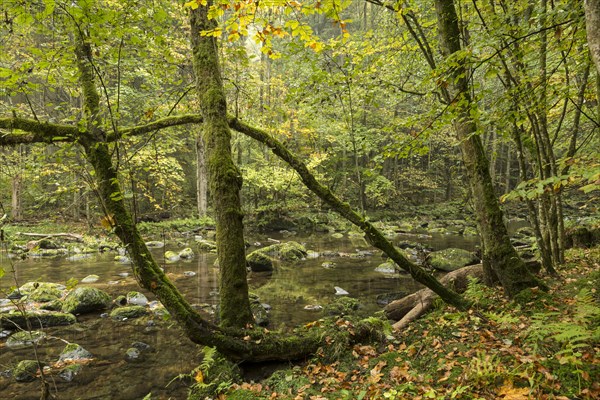 Wolfsteiner Ohe River