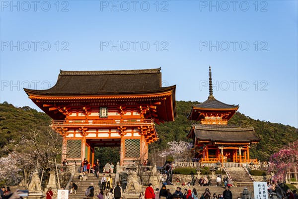 Buddhist Temple