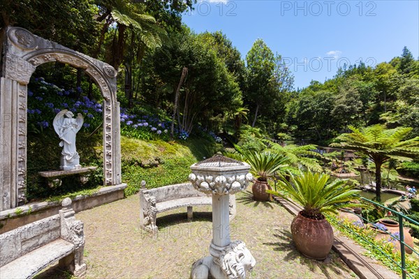 Jardim Botanico da Madeira or Botanical Garden