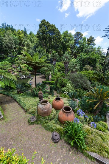 Jardim Botanico da Madeira or Botanical Garden