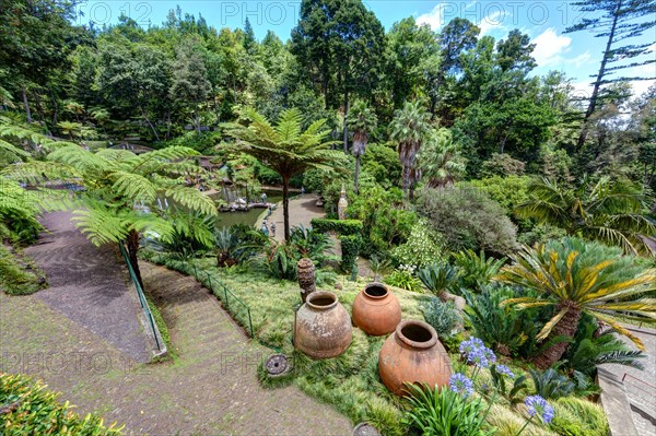 Jardim Botanico da Madeira or Botanical Garden