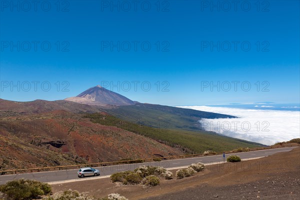 Landscape in the Teide National Park