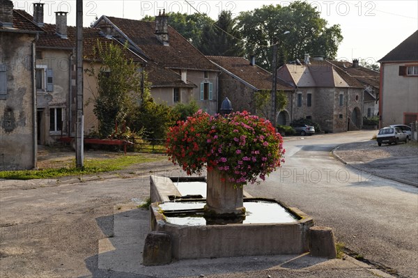 Village well