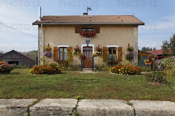 House with many flowers