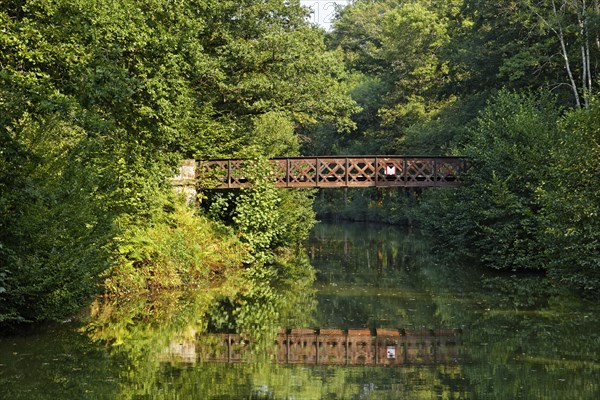 Forest and an old steel bridge