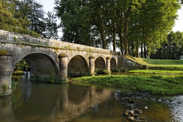 Old road bridge over the Coney River