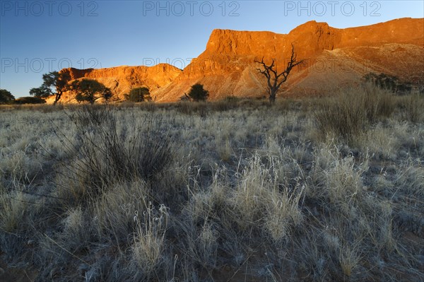 Petrified dunes of the Urnamib