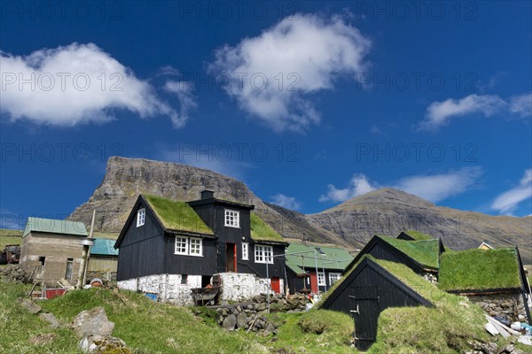 Traditional turf houses