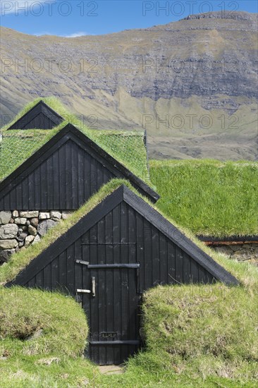 Traditional turf houses