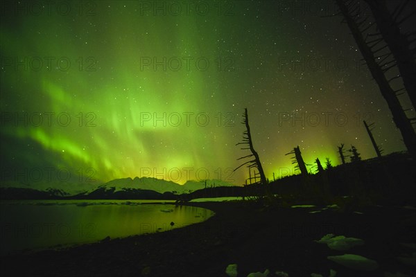 Northern lights