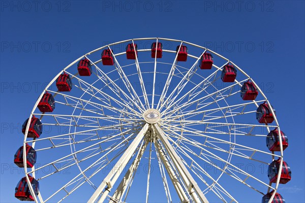 Ferris wheel