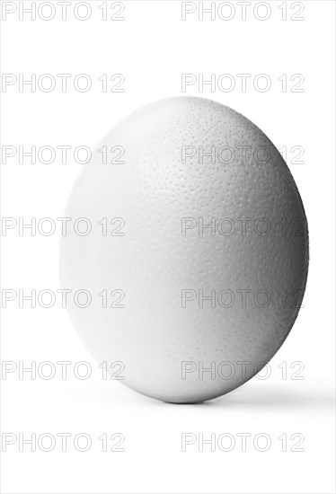 Ostrich egg