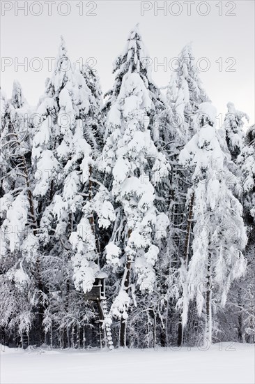 Raised hide in a snow-covered forest