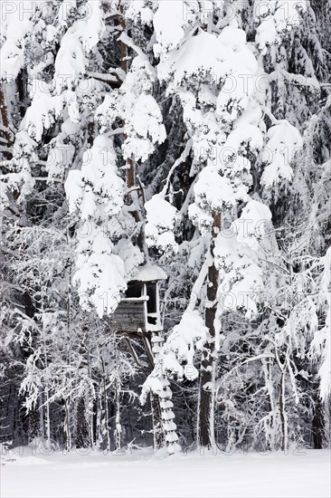Raised hide in a snow-covered forest