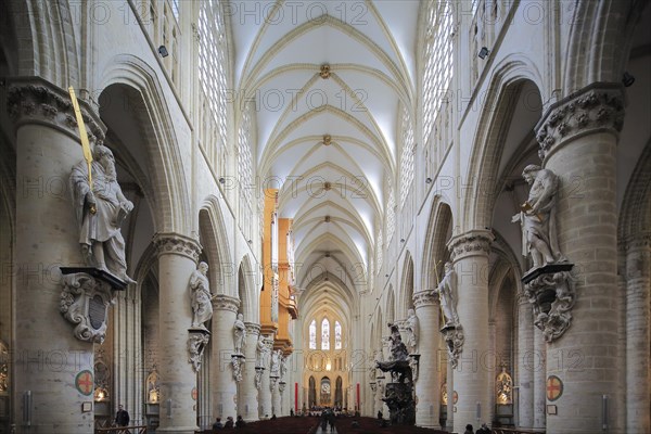 Nave