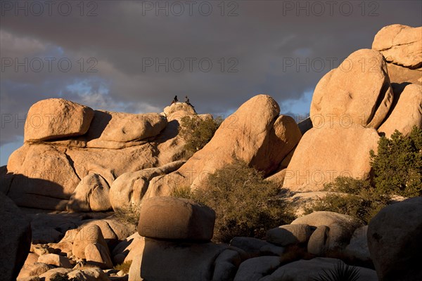 Climbers on top of a rock