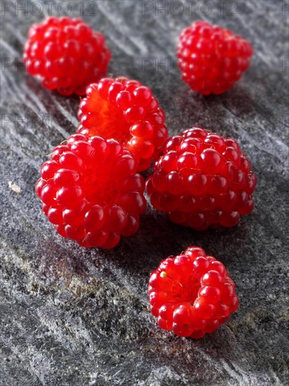 Japanese wine berry (Rubus phoenicolasius)