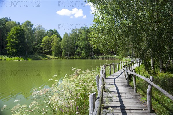 Beaver Trail